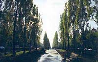 bulvar.jpg - 15530 Bytes