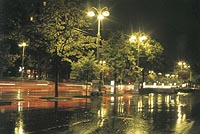 night.jpg - 16408 Bytes
