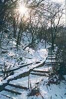 v_zamk_gora.jpg - 20069 Bytes