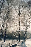 winter_03.jpg - 17626 Bytes