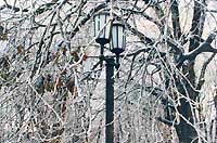 zima_fonar.jpg - 25301 Bytes