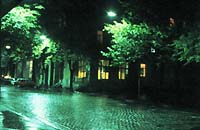 night_z.jpg - 24477 Bytes