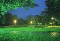 night_z_02.jpg - 22275 Bytes