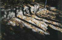 shody.jpg - 24603 Bytes