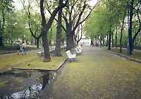 vlad_gor.jpg - 29817 Bytes