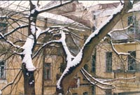 winter_01.jpg - 31412 Bytes