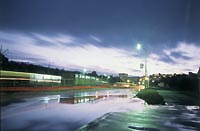 after_rain.jpg - 19330 Bytes