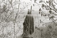 vl.jpg - 27862 Bytes