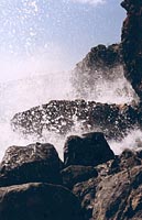 Sea__02.jpg - 13862 Bytes