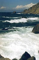 meganom__05.jpg - 12611 Bytes