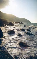 meganom__06.jpg - 13050 Bytes