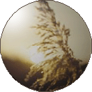 land-ico.gif - 12308 Bytes