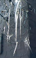 Sosulki_02.jpg - 14133 Bytes