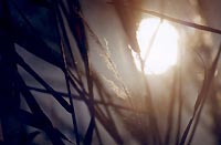 Sun__01.jpg - 9854 Bytes
