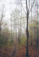 Utro_04.jpg - 15532 Bytes