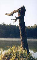 lake__01.jpg - 10133 Bytes